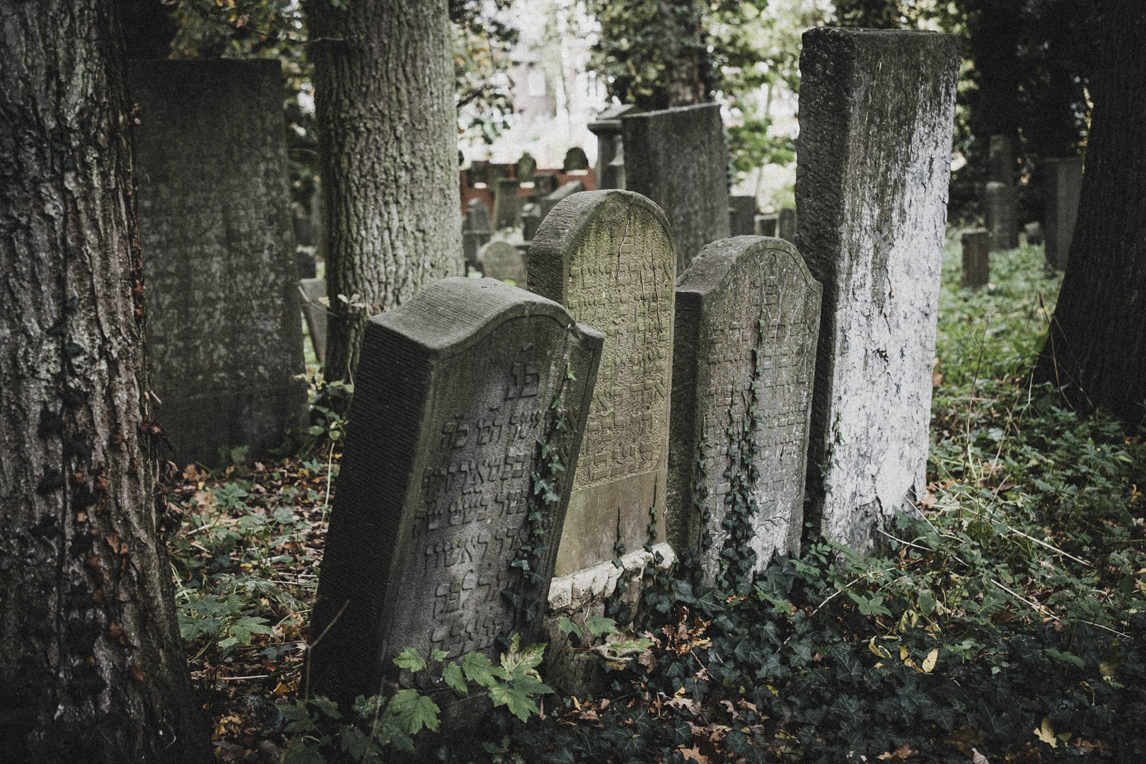 Emden, Jüdischer Friedhof